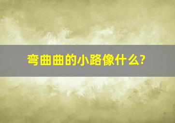 弯曲曲的小路像什么?