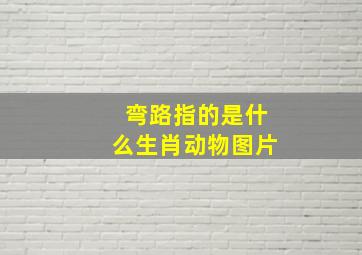 弯路指的是什么生肖动物图片