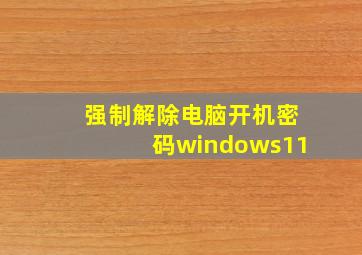 强制解除电脑开机密码windows11