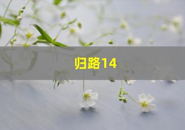 归路14