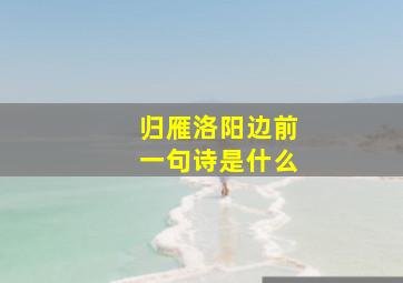 归雁洛阳边前一句诗是什么