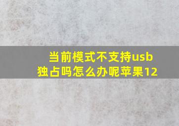 当前模式不支持usb独占吗怎么办呢苹果12