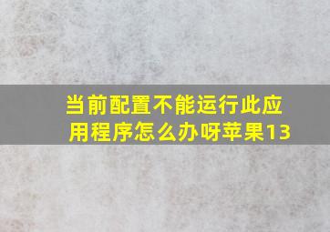 当前配置不能运行此应用程序怎么办呀苹果13