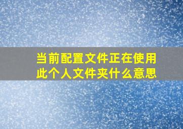 当前配置文件正在使用此个人文件夹什么意思