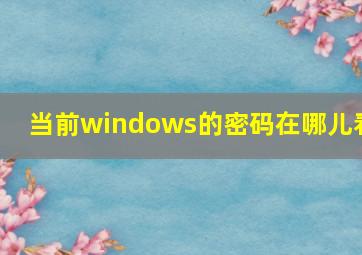 当前windows的密码在哪儿看