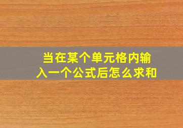 当在某个单元格内输入一个公式后怎么求和