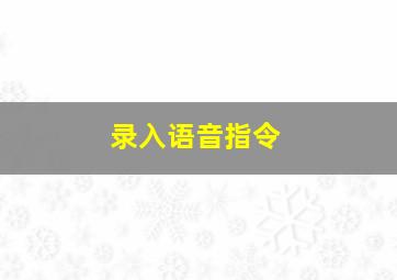 录入语音指令