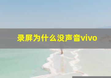 录屏为什么没声音vivo