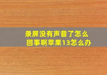 录屏没有声音了怎么回事啊苹果13怎么办