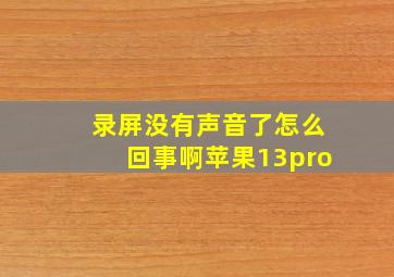 录屏没有声音了怎么回事啊苹果13pro