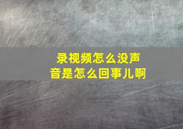 录视频怎么没声音是怎么回事儿啊