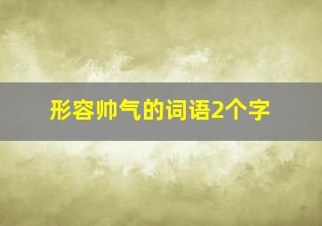 形容帅气的词语2个字