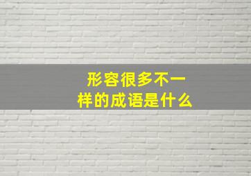 形容很多不一样的成语是什么