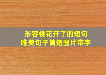 形容桃花开了的短句唯美句子简短图片带字