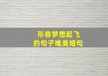 形容梦想起飞的句子唯美短句