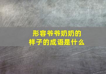 形容爷爷奶奶的样子的成语是什么