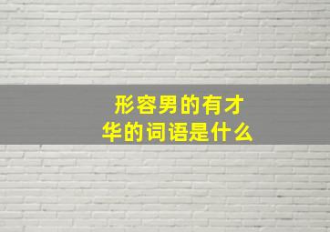 形容男的有才华的词语是什么