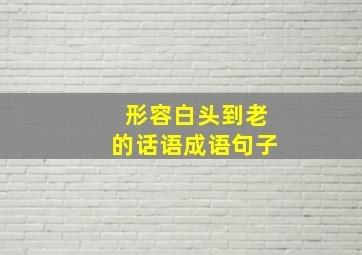 形容白头到老的话语成语句子