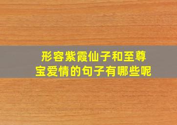 形容紫霞仙子和至尊宝爱情的句子有哪些呢