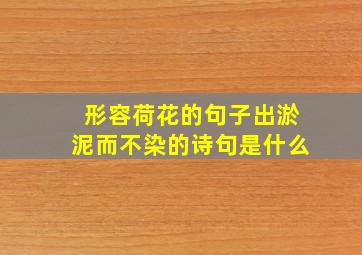 形容荷花的句子出淤泥而不染的诗句是什么