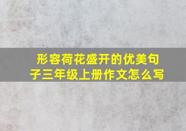 形容荷花盛开的优美句子三年级上册作文怎么写