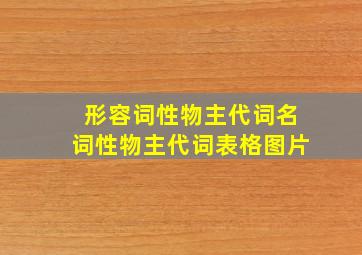 形容词性物主代词名词性物主代词表格图片