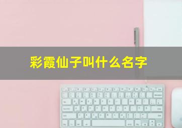 彩霞仙子叫什么名字