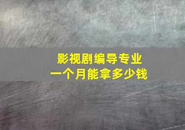 影视剧编导专业一个月能拿多少钱