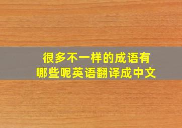 很多不一样的成语有哪些呢英语翻译成中文