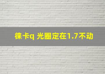 徕卡q 光圈定在1.7不动