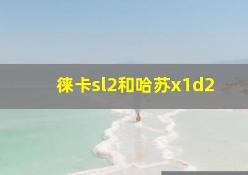 徕卡sl2和哈苏x1d2