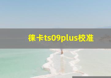 徕卡ts09plus校准