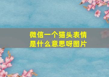 微信一个猫头表情是什么意思呀图片