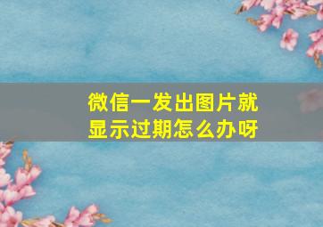 微信一发出图片就显示过期怎么办呀