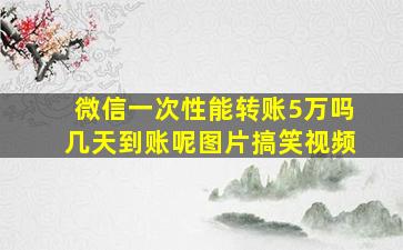 微信一次性能转账5万吗几天到账呢图片搞笑视频