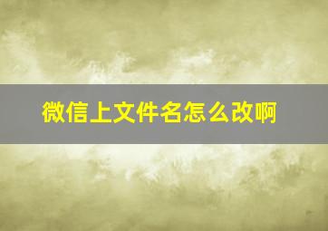 微信上文件名怎么改啊