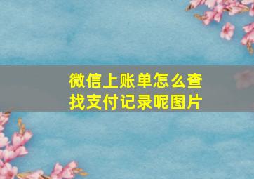 微信上账单怎么查找支付记录呢图片