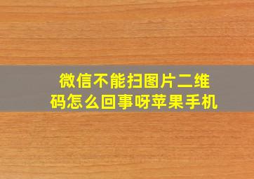 微信不能扫图片二维码怎么回事呀苹果手机