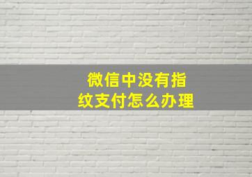 微信中没有指纹支付怎么办理