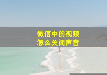 微信中的视频怎么关闭声音