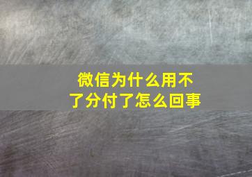 微信为什么用不了分付了怎么回事