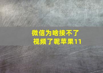 微信为啥接不了视频了呢苹果11