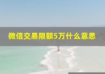 微信交易限额5万什么意思