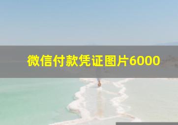 微信付款凭证图片6000