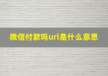 微信付款吗url是什么意思