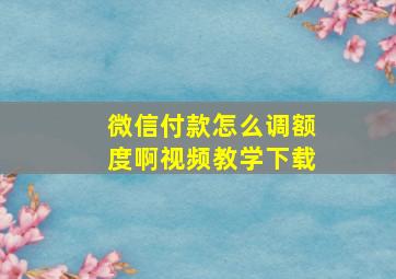 微信付款怎么调额度啊视频教学下载