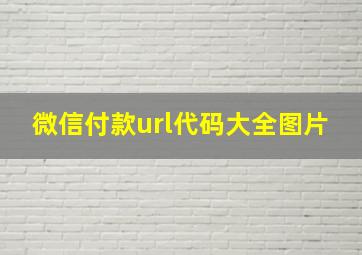 微信付款url代码大全图片