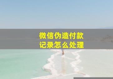 微信伪造付款记录怎么处理