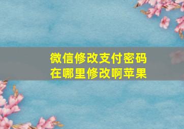 微信修改支付密码在哪里修改啊苹果