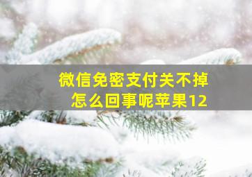 微信免密支付关不掉怎么回事呢苹果12